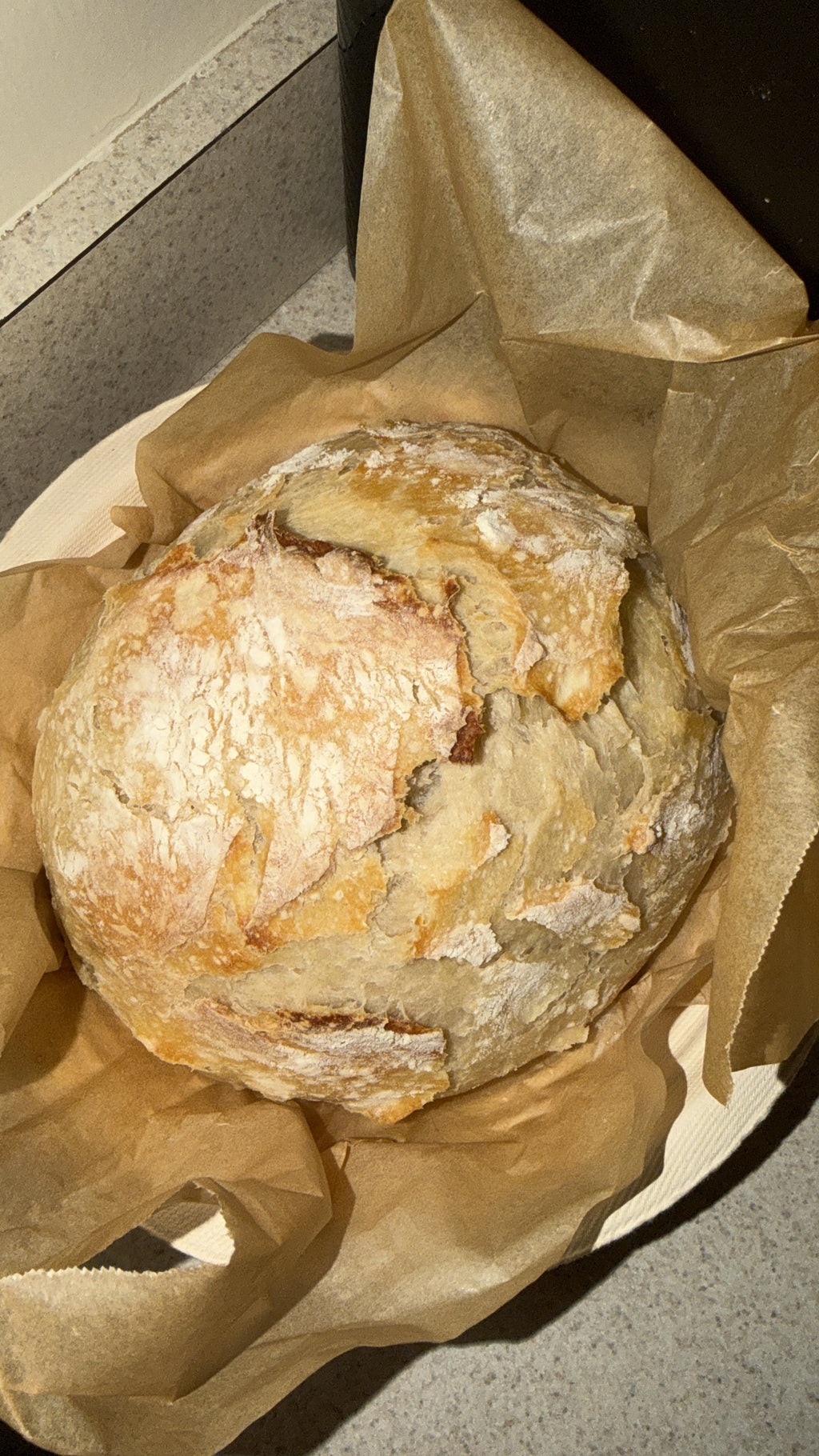 Sourdough Loaf Plain