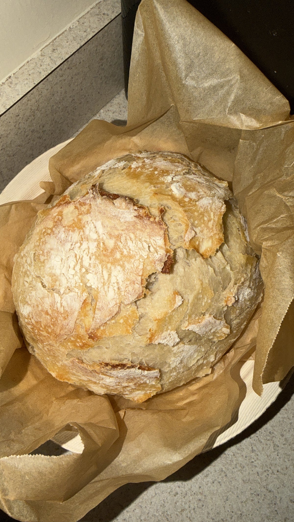 Sourdough Loaf Plain