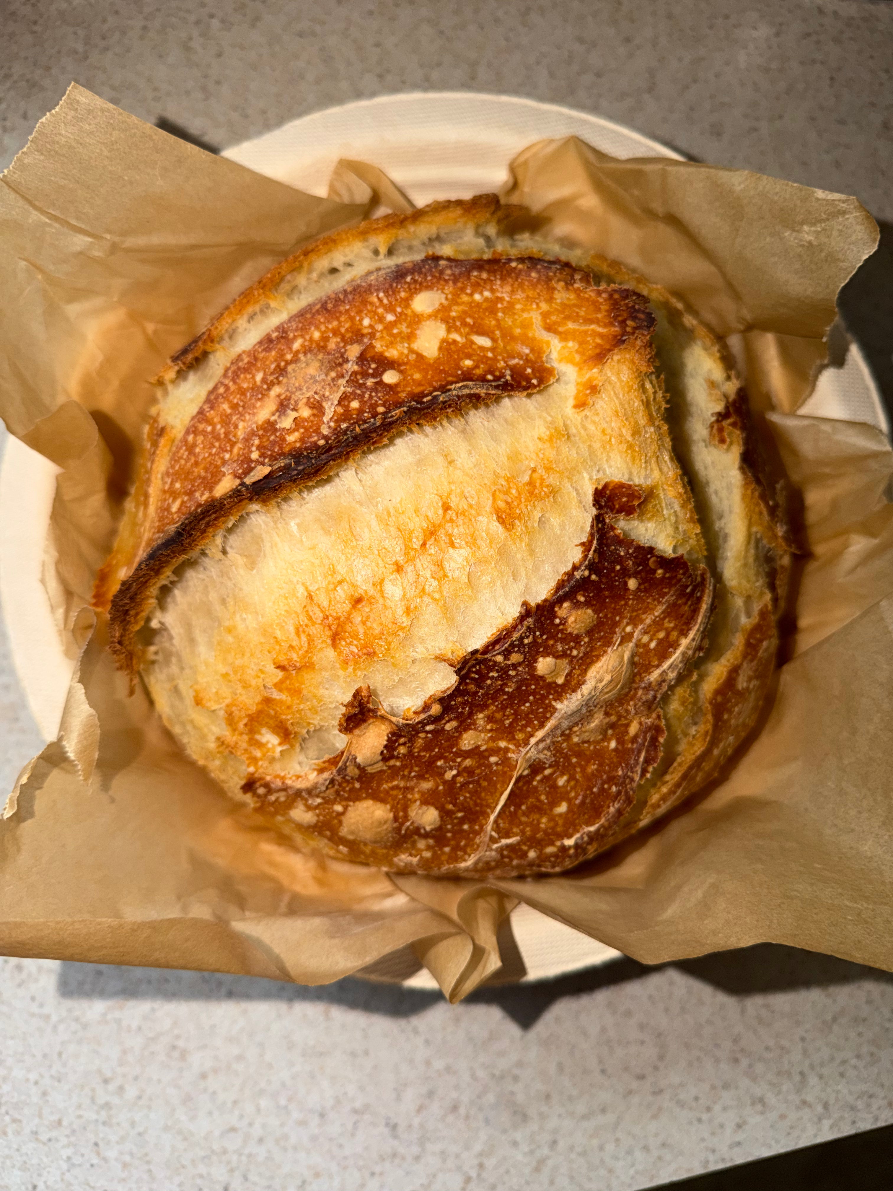 Sourdough Loaf Plain