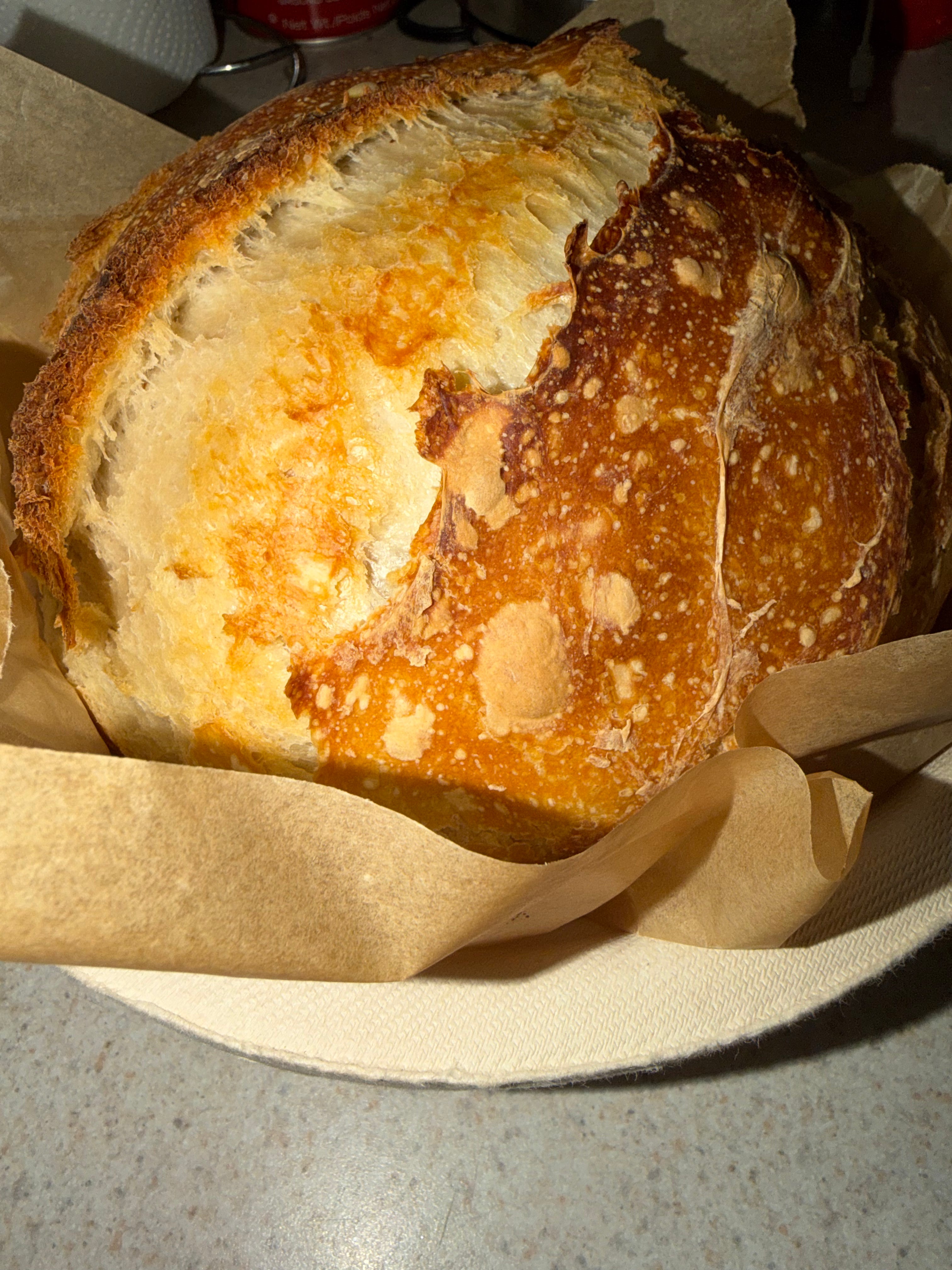Sourdough Loaf Plain